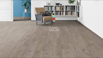 Haro Tritty 100 Gran Via 4V ДУБ ПОРТЛЭНД СЕРЫЙ 533139 фото 2 | FLOORDEALER